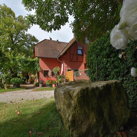 Countryside Apartment With Garden Schallstadt Exterior photo