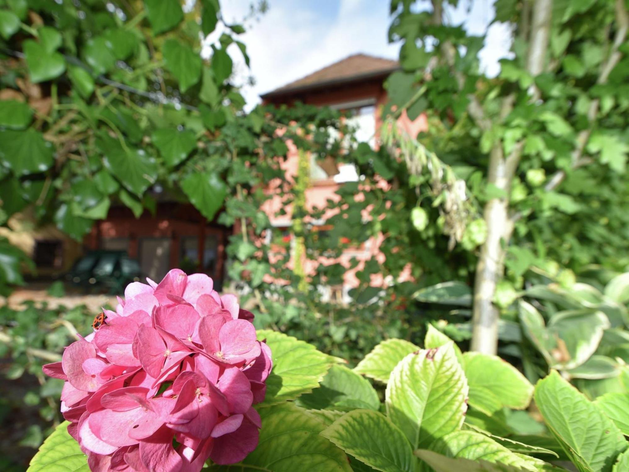 Countryside Apartment With Garden Schallstadt Exterior photo