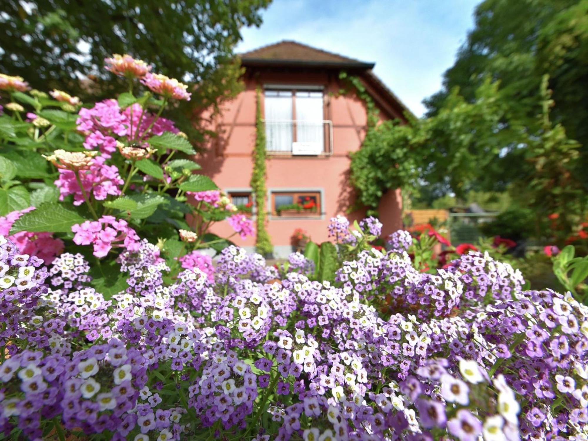 Countryside Apartment With Garden Schallstadt Exterior photo
