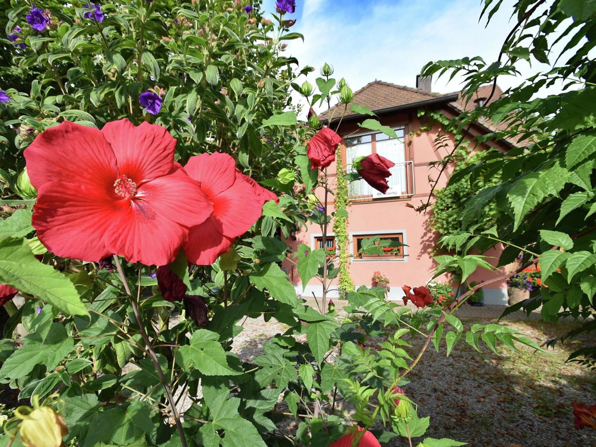 Countryside Apartment With Garden Schallstadt Exterior photo