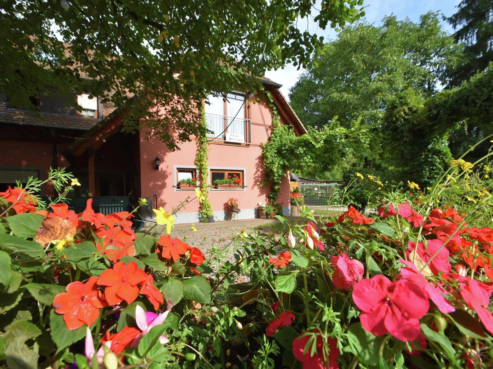 Countryside Apartment With Garden Schallstadt Exterior photo