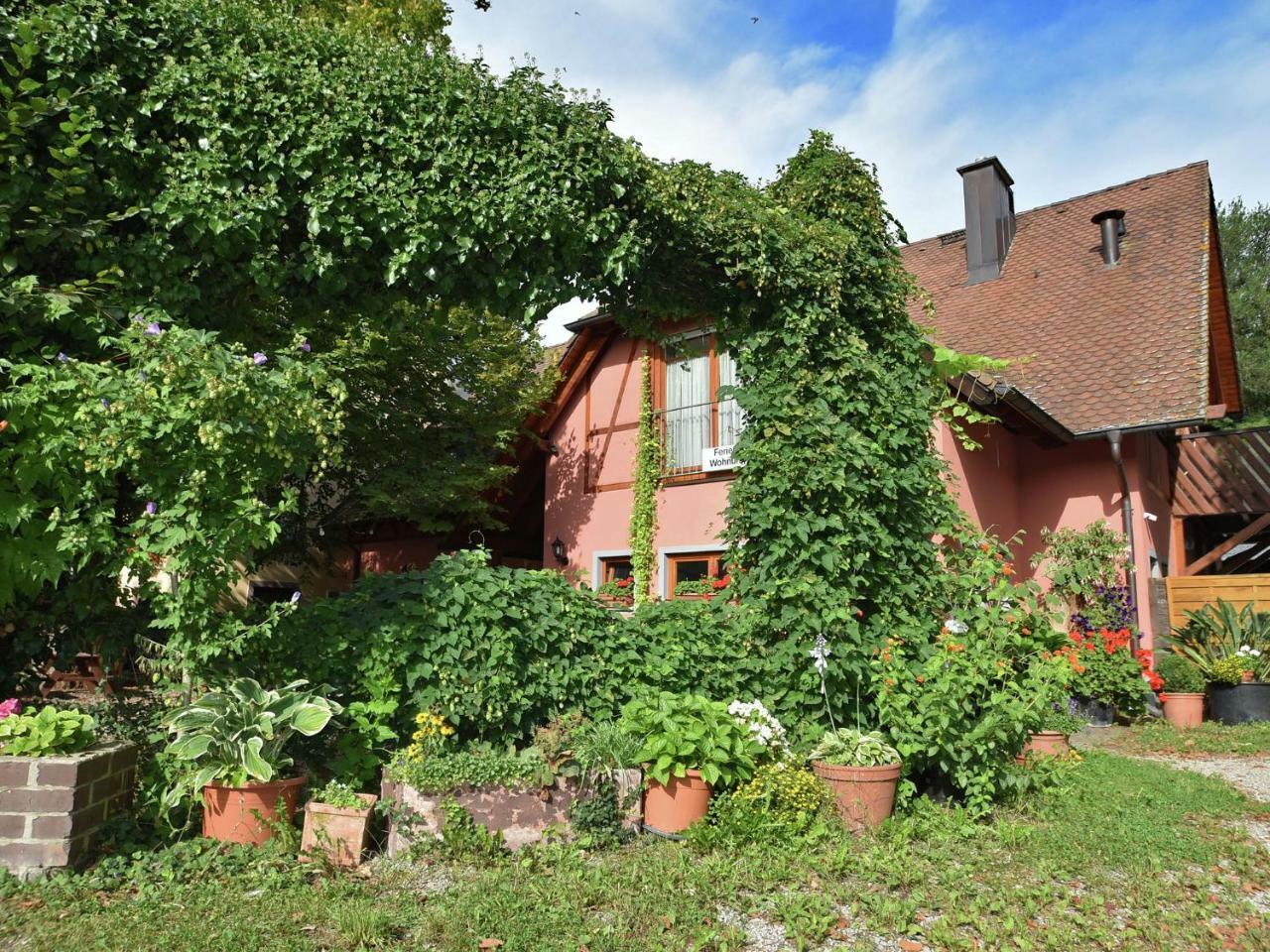 Countryside Apartment With Garden Schallstadt Exterior photo